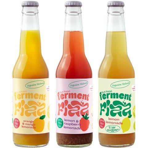 Ferment Fizz Lemon & Raspberry 330 ml bottle