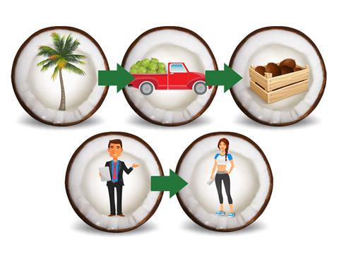 coconut supply chain