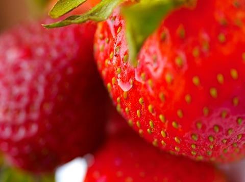 Tesco strawberry fine: bad luck or well deserved?