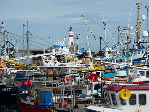 fishing boats harbour