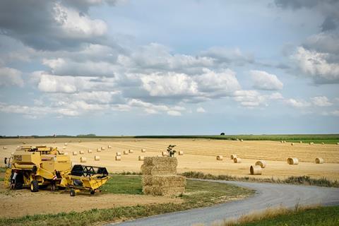 Kellogg's Soil Capital 2