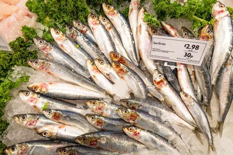 Morrisons sardines on fish counter fishmonger