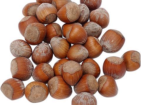 HAZELNUTS