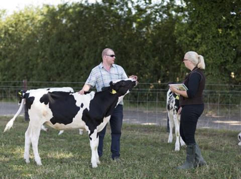 M&S milk RSPCA Assured farm audit
