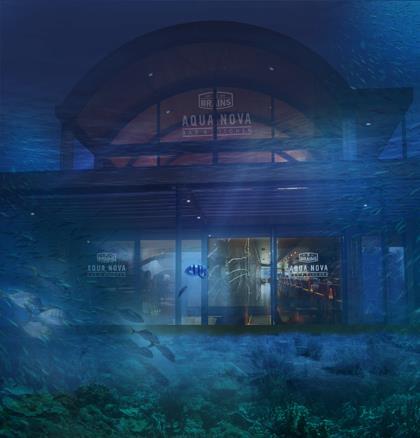 Underwater pub