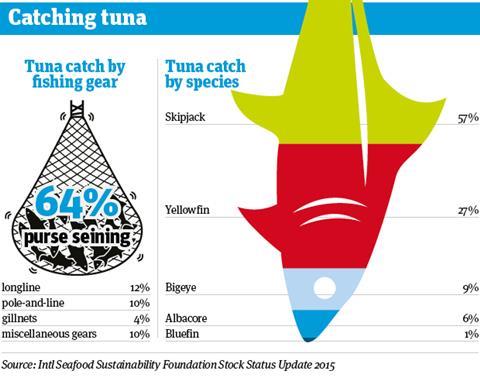 tuna infograph