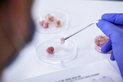lab cell cultivated meat GettyImages-1390220673
