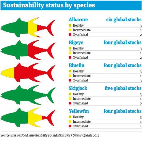 tuna infograph