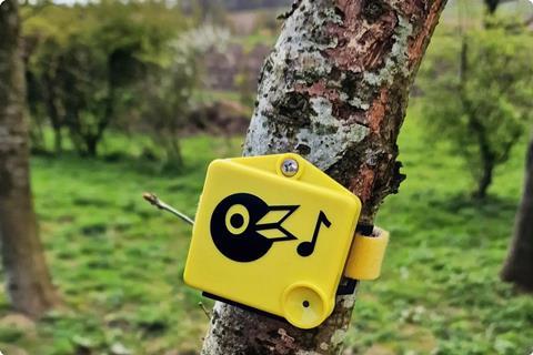 chirrup-home-1