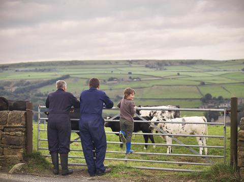 Los agricultores del Reino Unido deben tomar medidas urgentes para proteger la biodiversidad |  Comentario y opinión
