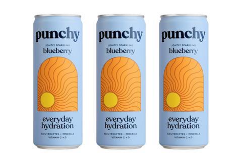 Punchy - Blueberry - Everyday Hydration