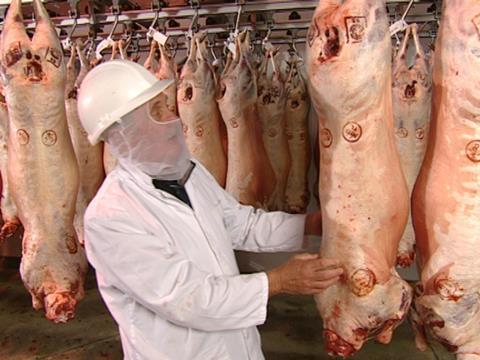 Welsh lamb to be sold in China