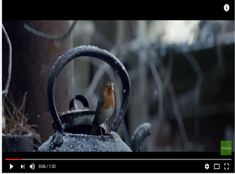 waitrose christmas ad 