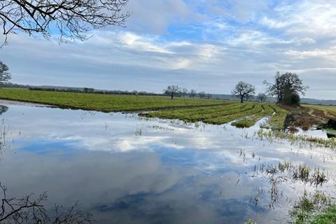 floods 2