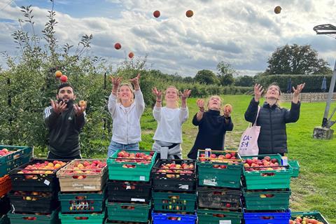 dash team gleaning apples with feedback