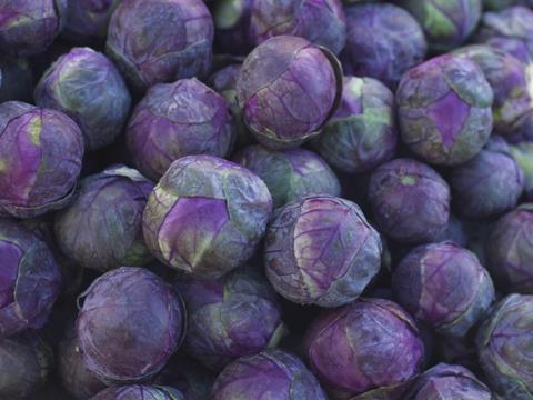 Red brussel sprouts purple vegetable