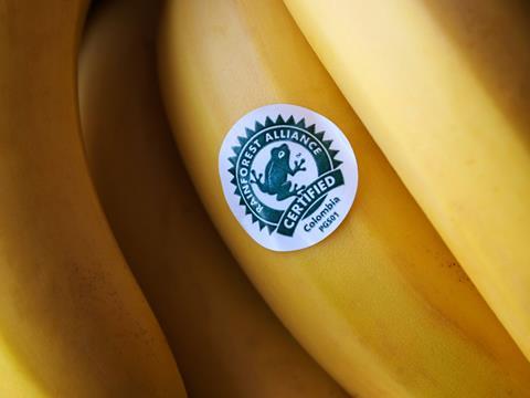 eCommerce success: the story of Blue Banana
