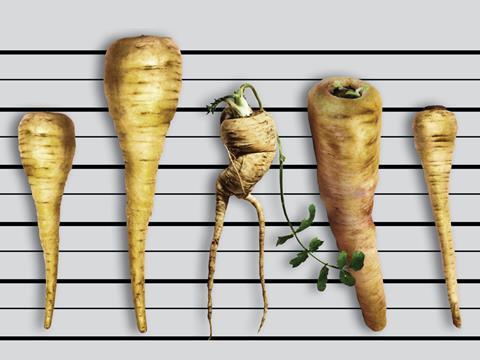 wonky veg parsnips one use