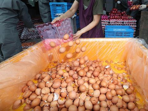 Single use - eggs being disposed