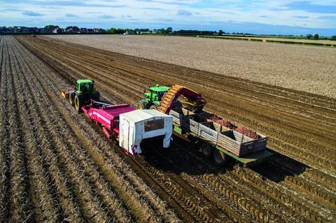 Branston harvest 1