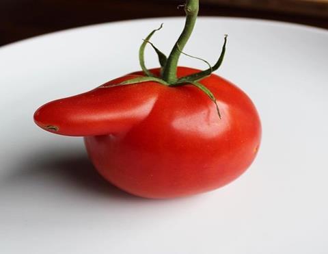 ugly tomato