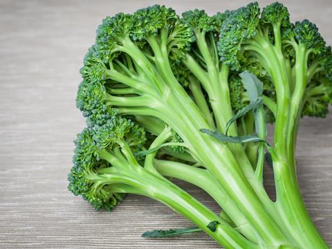 Broccoli