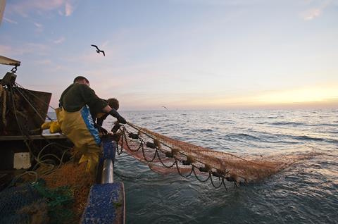 Men bringing in a net on a trawler at sunrise