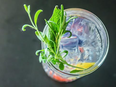 gin and tonic credit wine dharma via flickr one use