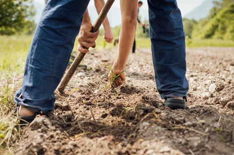 farm worker