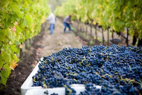 lasseter-winery-asG1QSDvb4g-unsplash