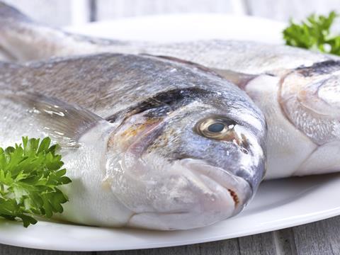 sea bass fish on plate