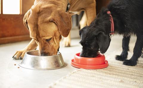 Supplier shop dog food