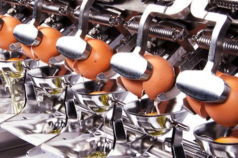 Eggs in manufacturing