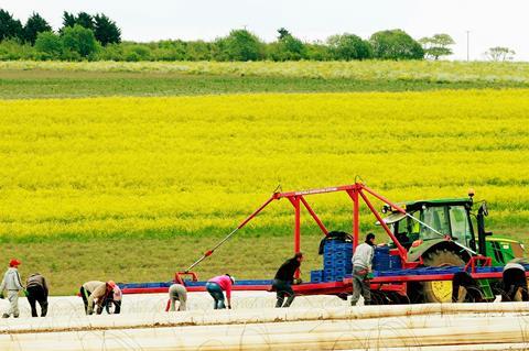 Farming crops