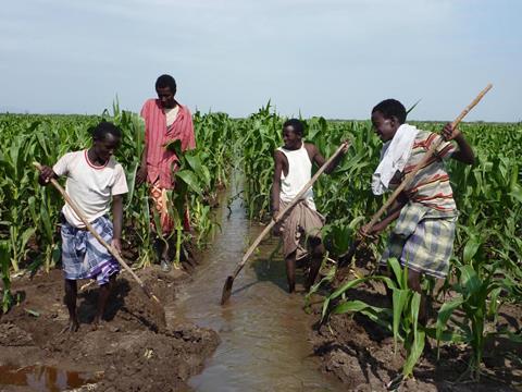 farm africa