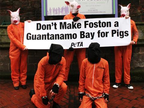 Pig farm protest