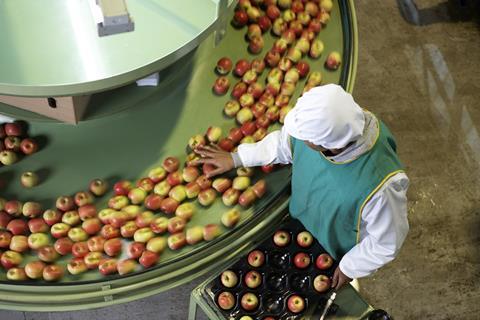 Mature female worker sorting apples in apple processing factory, elevated view - stock photo