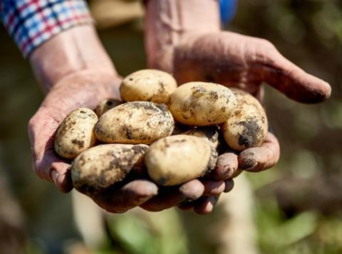 Cornish new potatoes