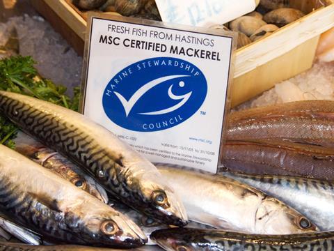 msc certified fish