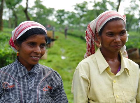 Indian tea worker