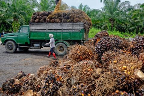 Palm-Oil