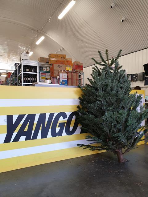 Yango Deli Tree