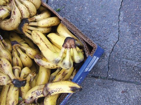Food waste rotting bananas