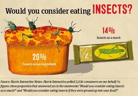 edible insects crafts