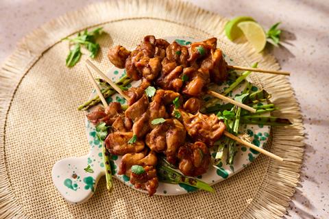 Teriyaki Chicken Kebab_01