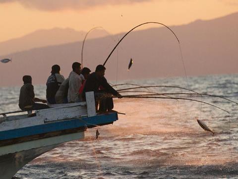 Tuna Fishing