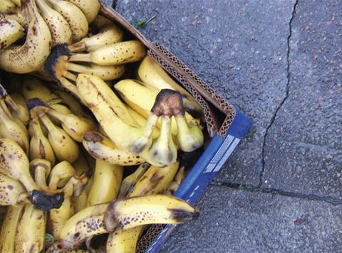 Food waste rotting bananas