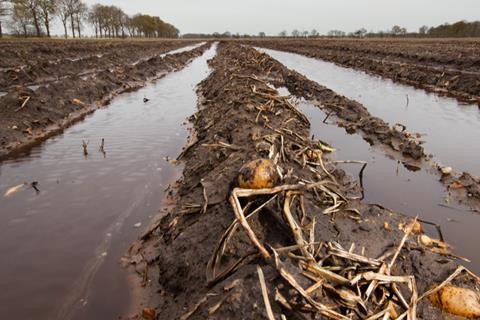 farming weather