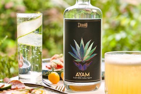 Ayam Indian Agave