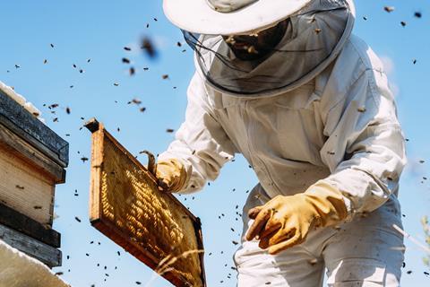 Honey Getty Images (1)